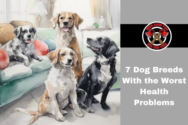 7 Dog Breeds With the Worst Health Problems