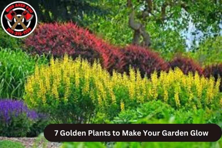7 Golden Plants to Make Your Garden Glow