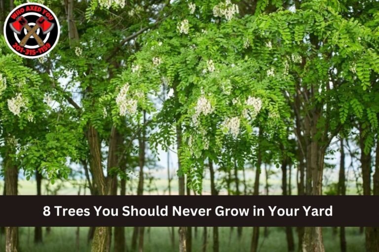 8 Trees You Should Never Grow in Your Yard
