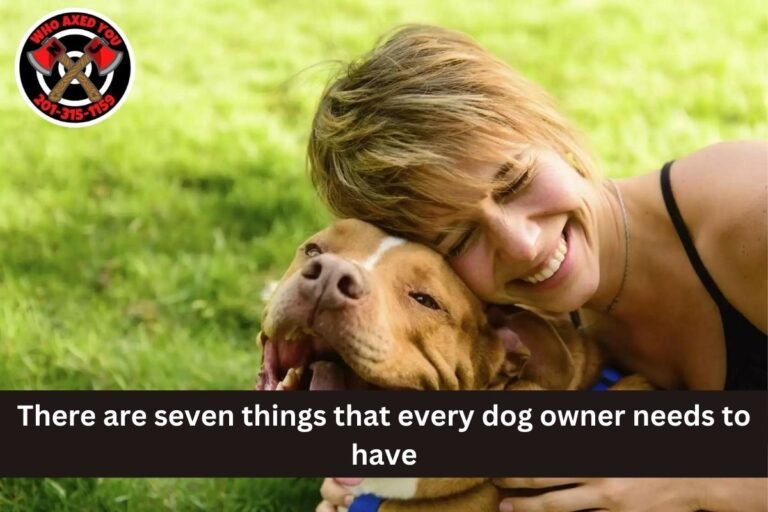 There are seven things that every dog owner needs to have