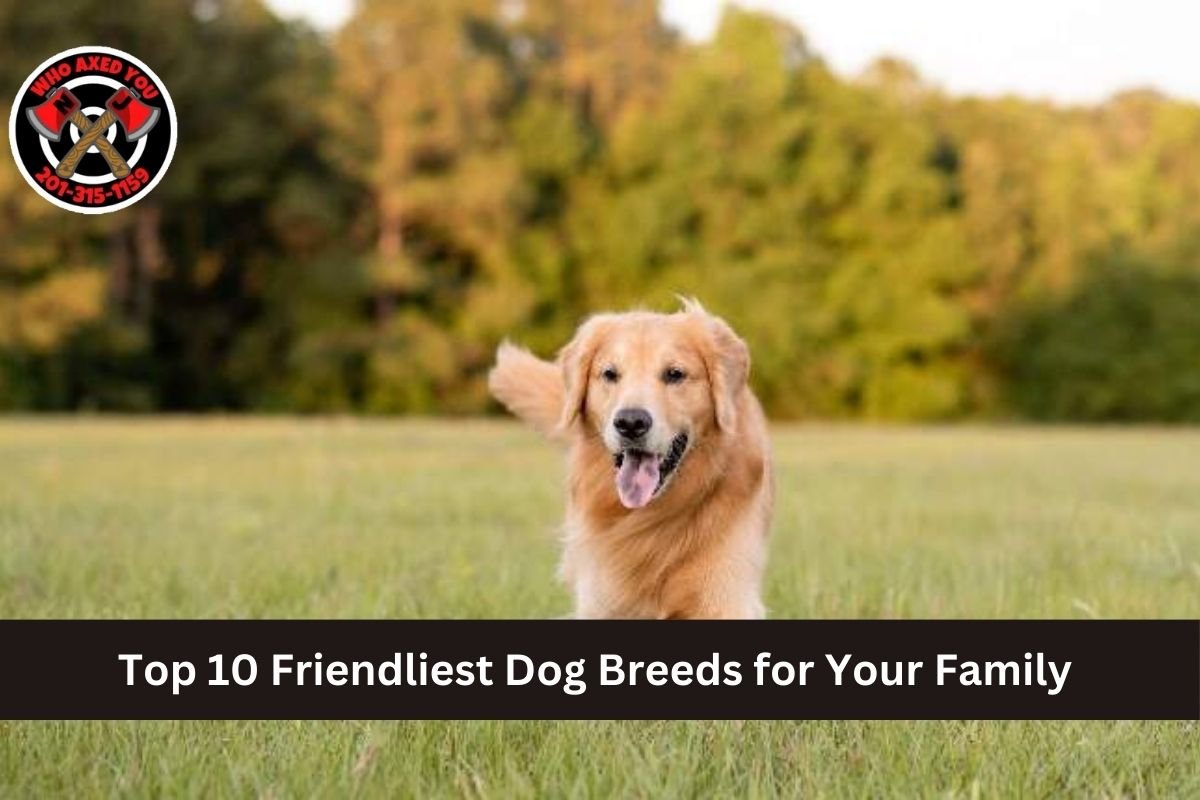Top 10 Friendliest Dog Breeds for Your Family